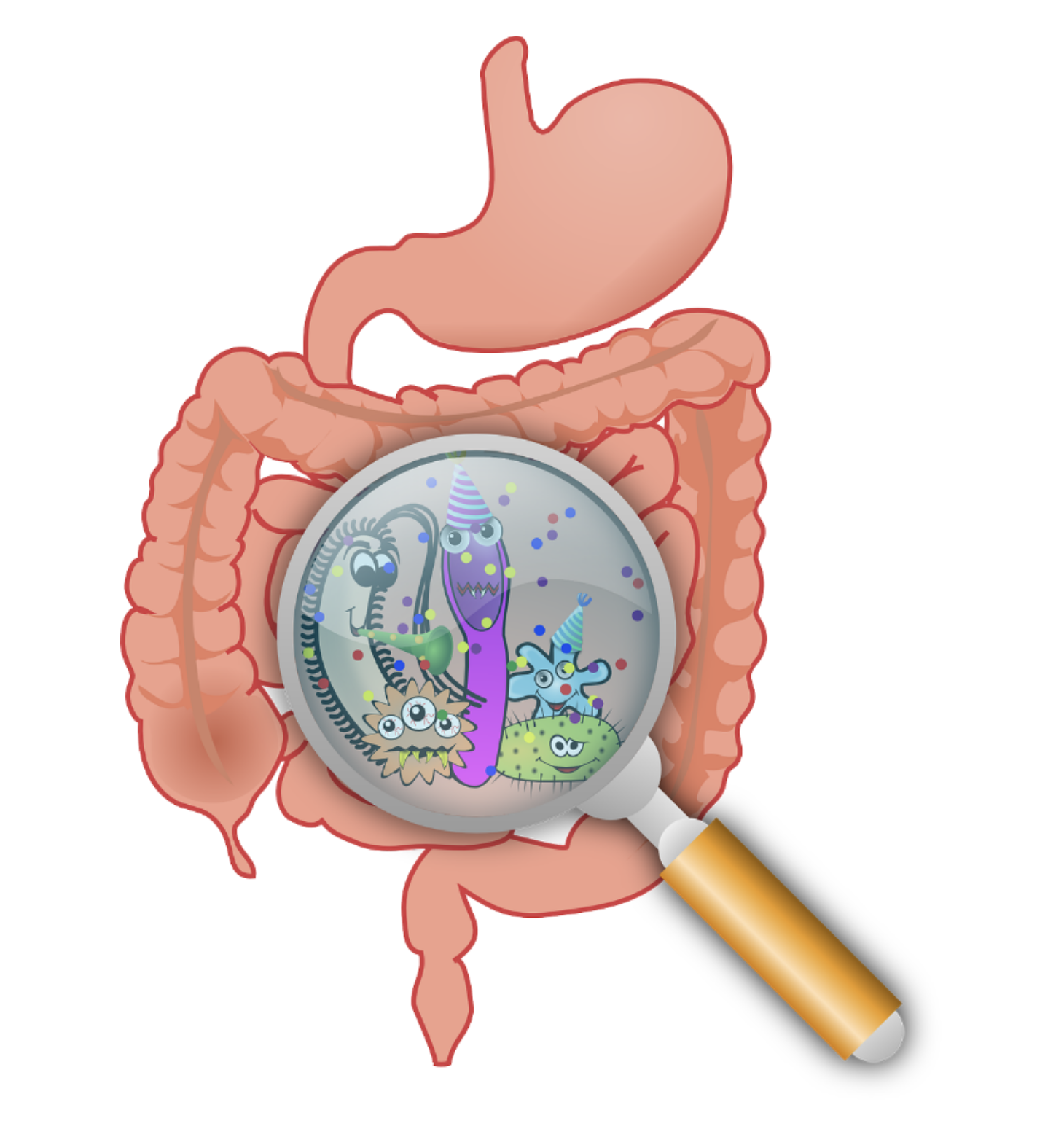 Get the skinny on gut bugs