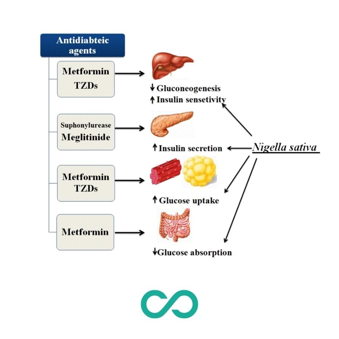 .
.
| HERBAL MEDICINE FOR BLOOD SUGAR BALANCE | 

If you are diagnosed with pre-diabetes, #insulinresistance, diabetes or even #PCOS you will be prescribed #metformin as a first-line therapy in most cases.  Often-times you will be prescribed other me