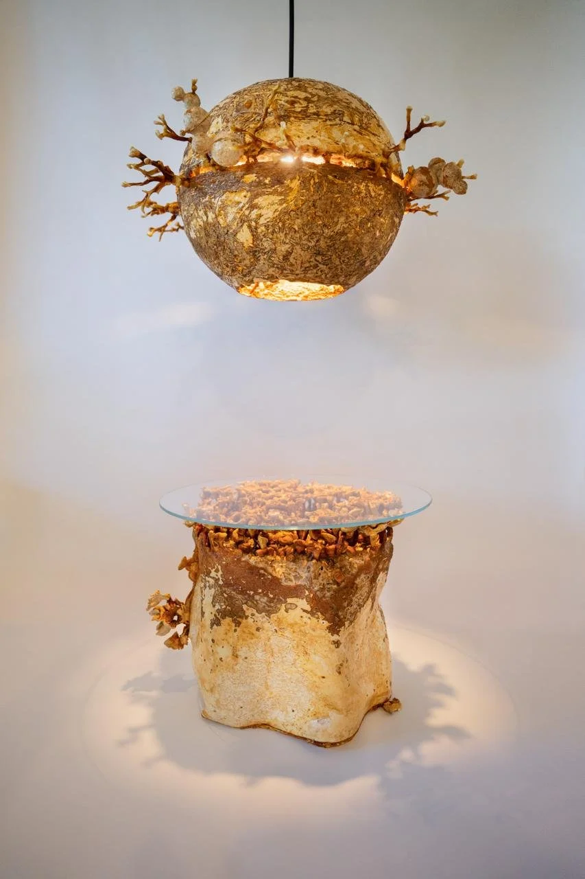 05855262-7576-440b-813f-e6e92f67d7cd 2.JPG