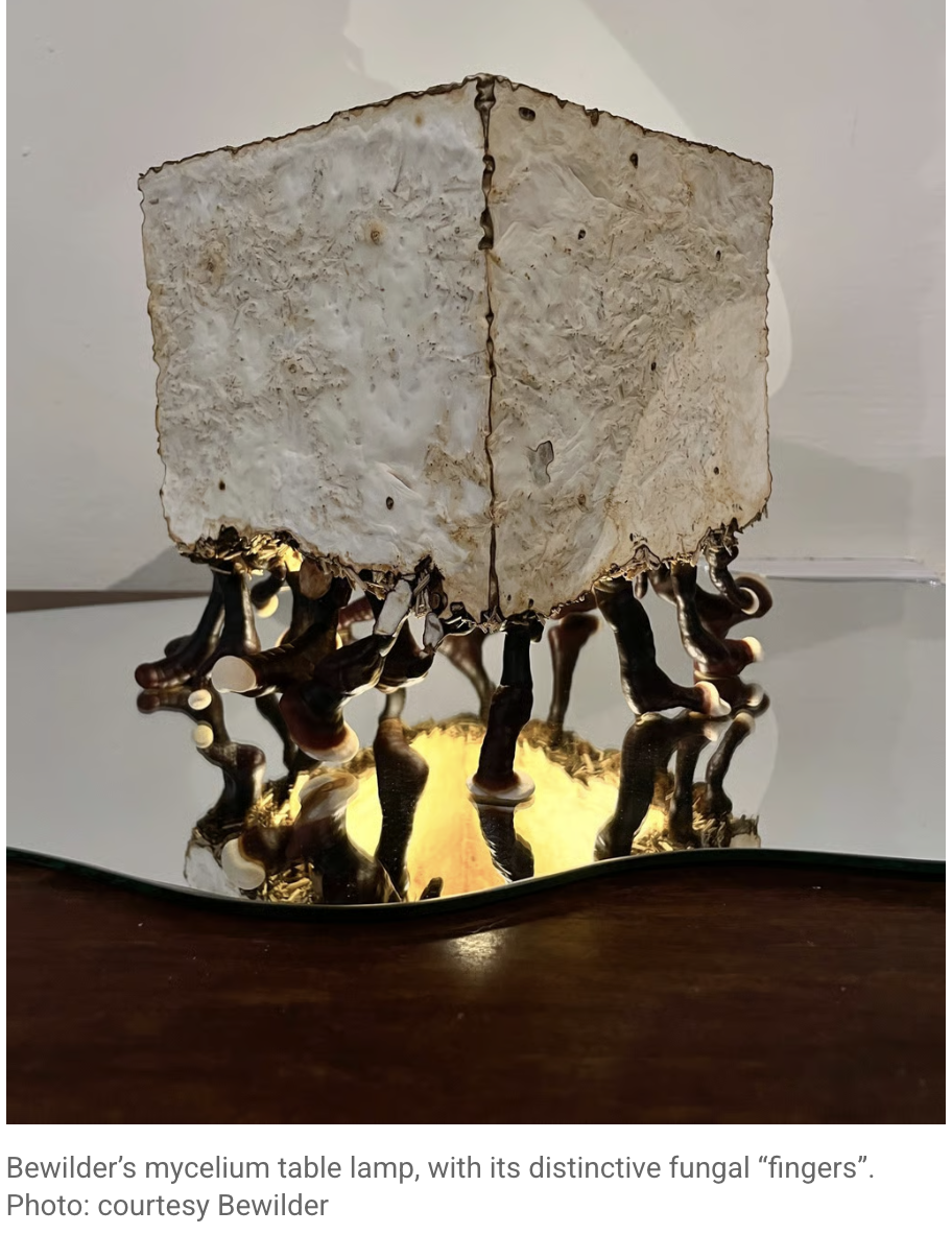 Screenshot 2026-01-14 at 6.11.56 PM.png