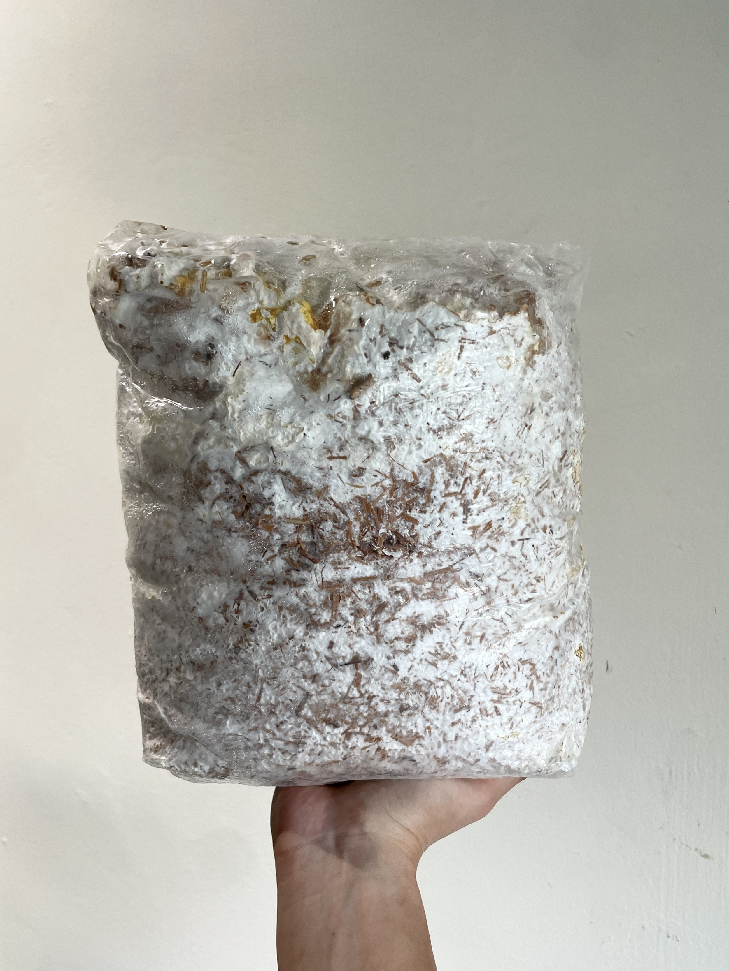 Mycomaterial Substrate