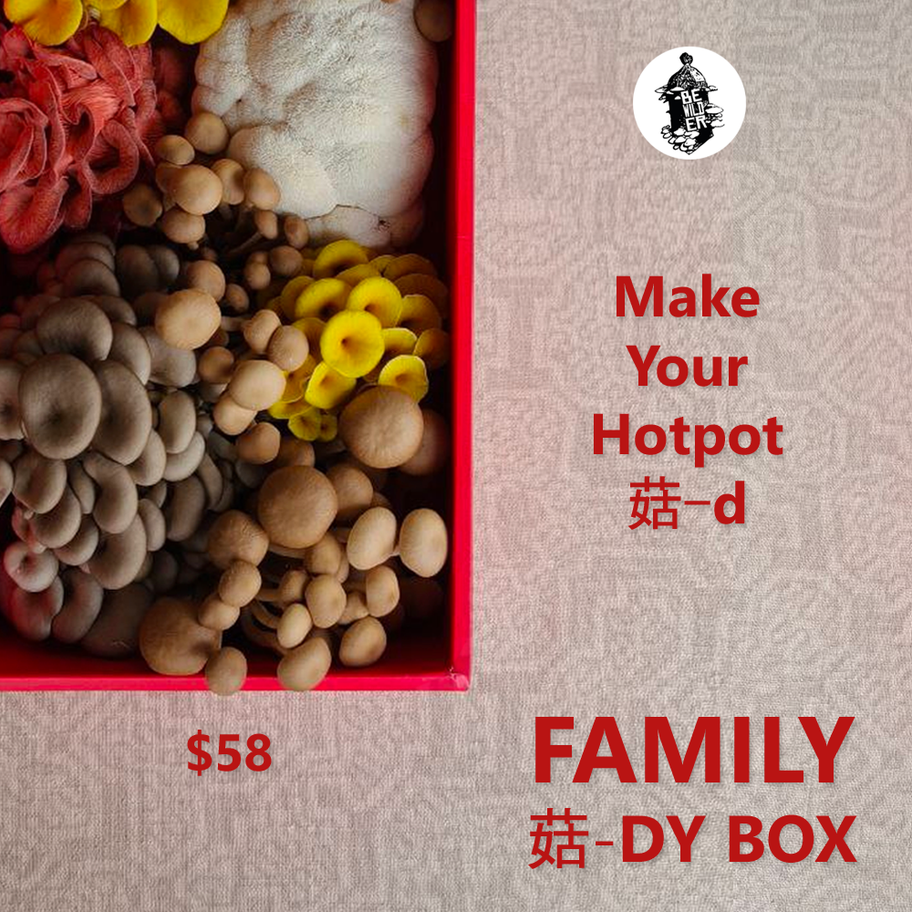 Family 菇dy Box