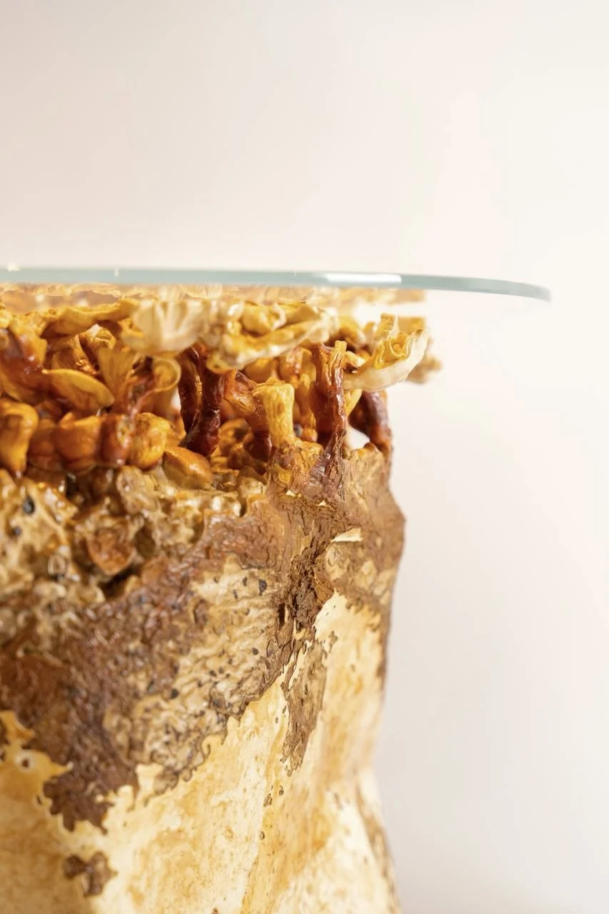 7d0077b4-de2f-4a10-bd9d-5bad675d103e 2.jpg