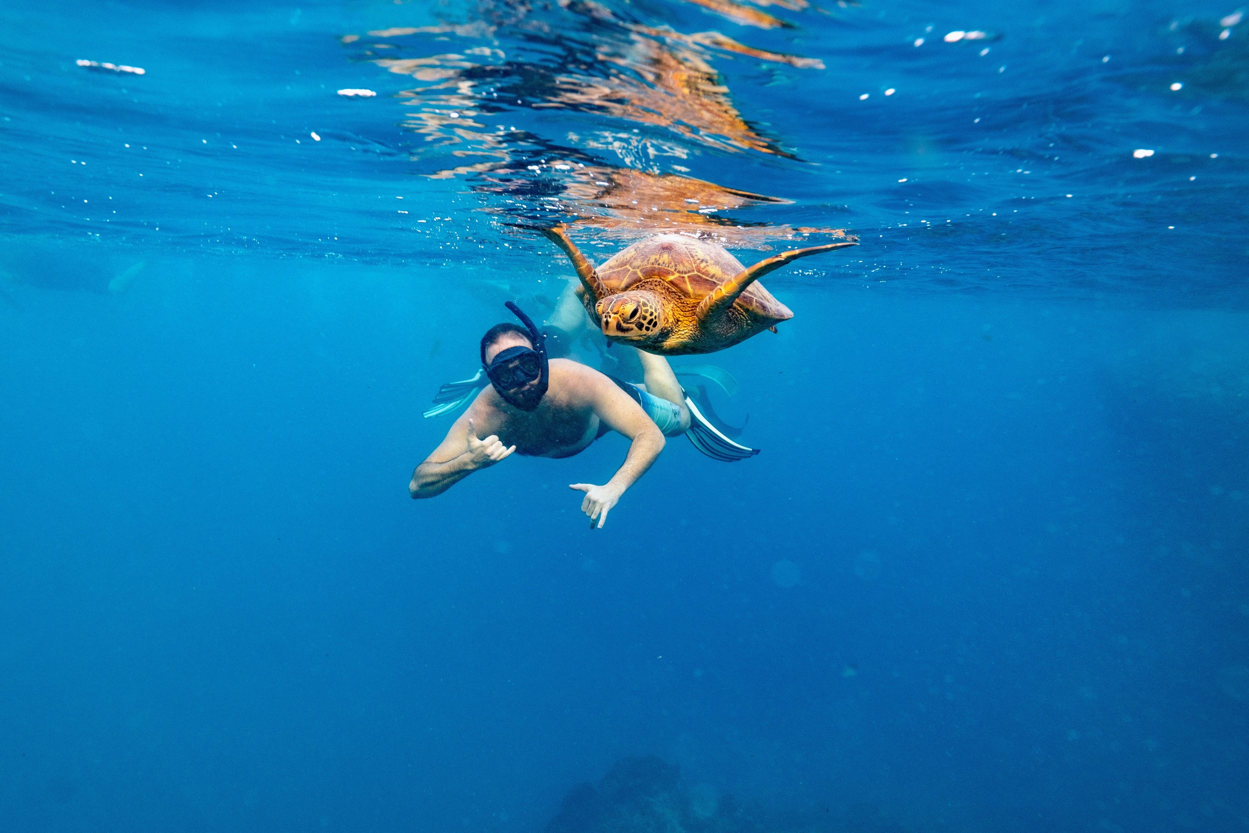 Cruise Ship Stop Adventure Cook Islands