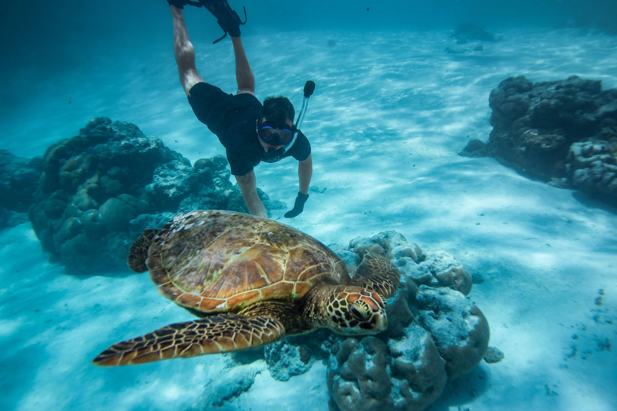 Snorkeling in Cook Islands
