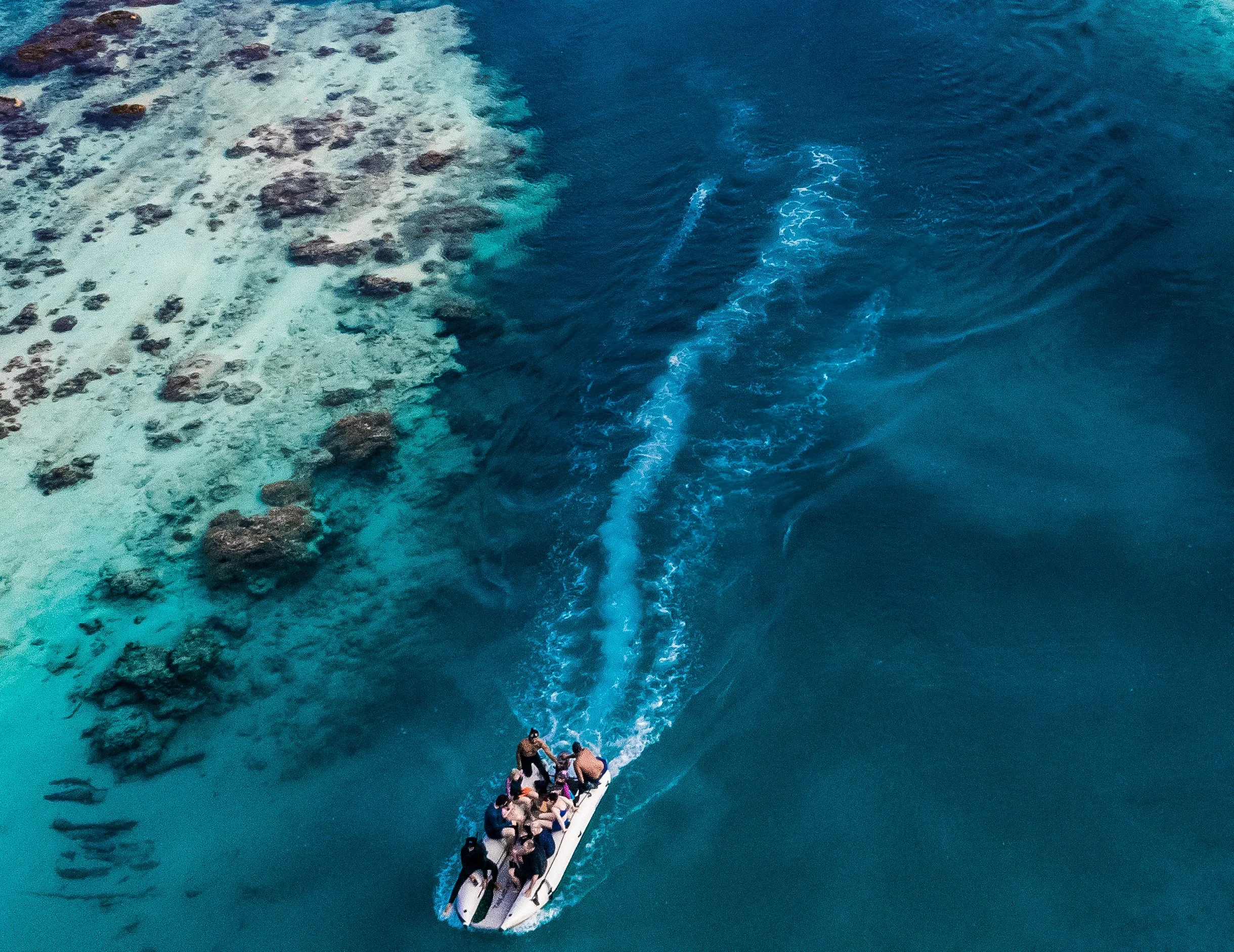 Environmental Impacts of Sea Scooters and Motor Boat Taxis in Avaavaroa Passage