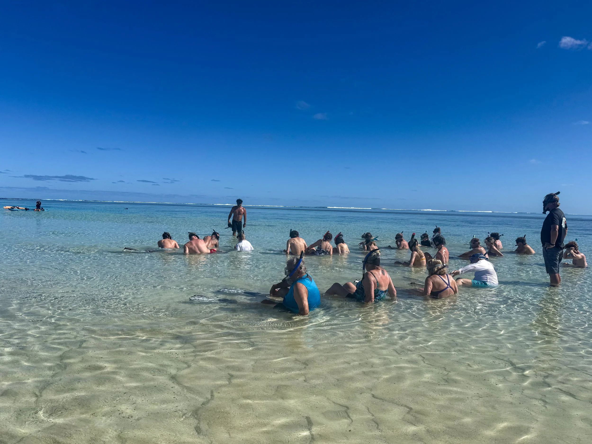 Best Season to Snorkel with Turtles in Rarotonga