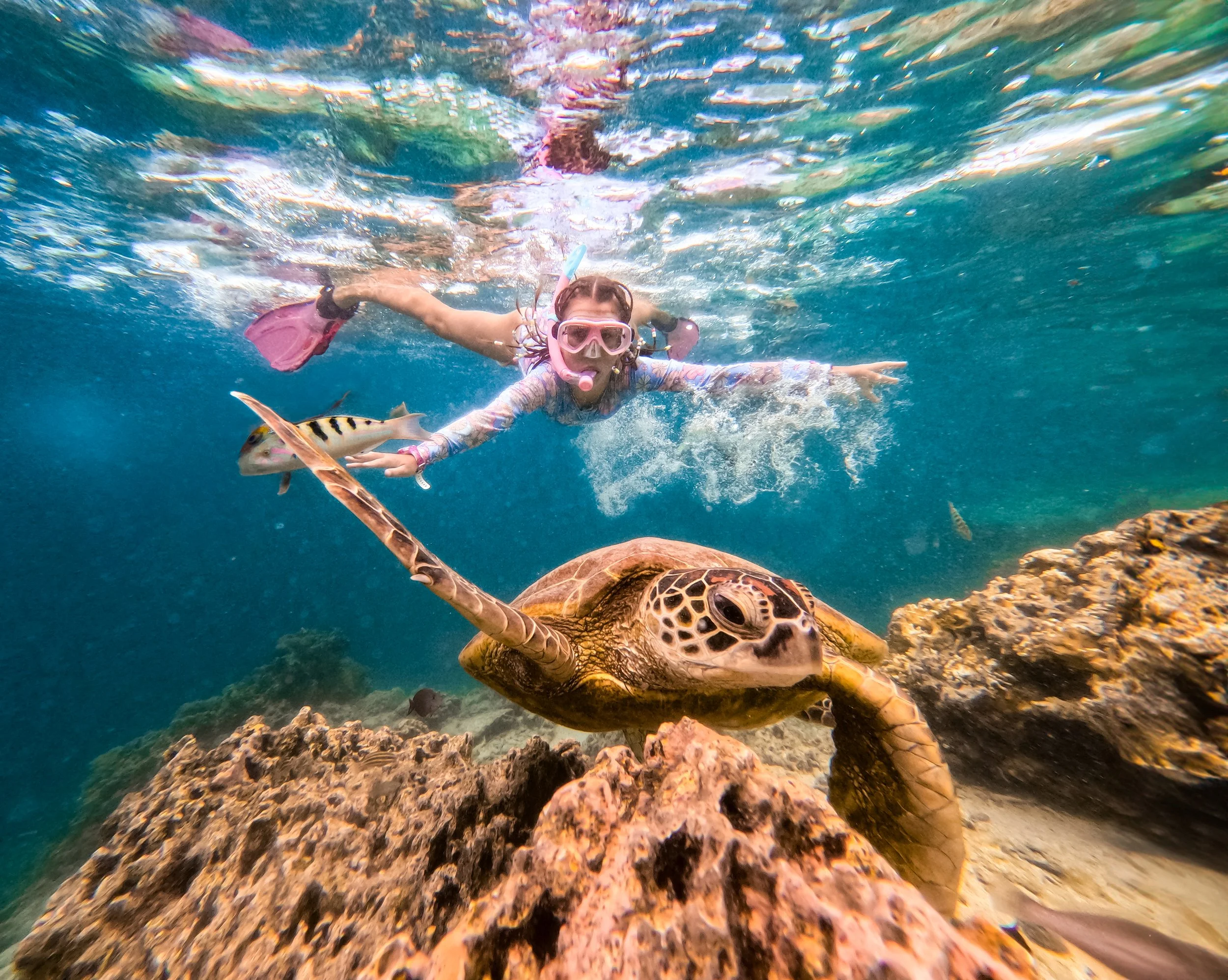 Children Swimming with Turtles in Rarotonga