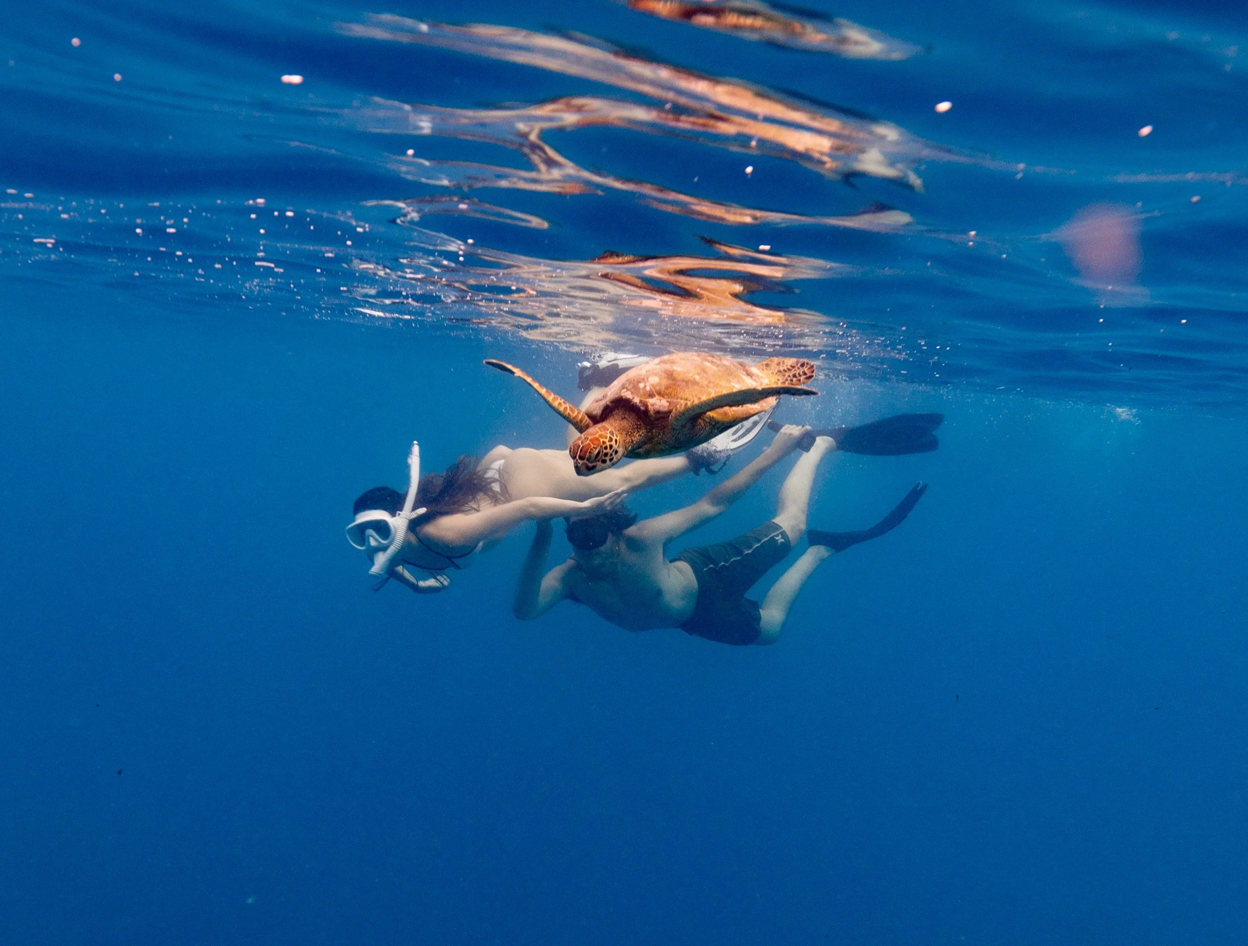 sci25May43.jpg