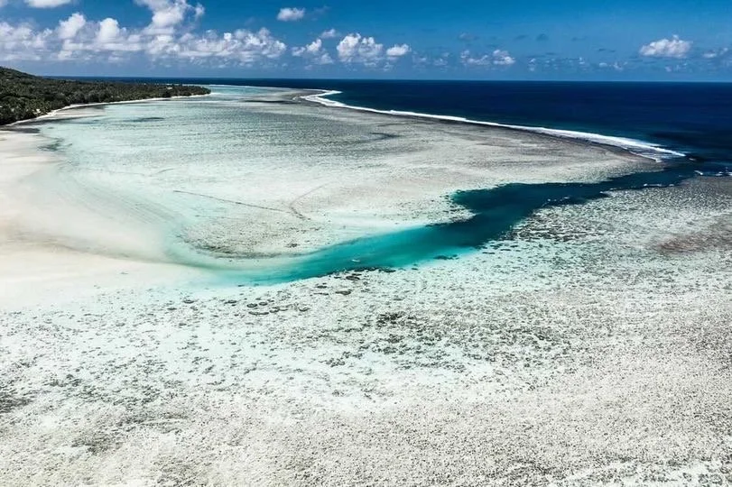 Rarotonga Marine Life