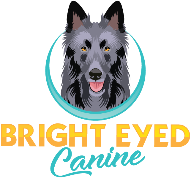 Bright Eyed Canine 
