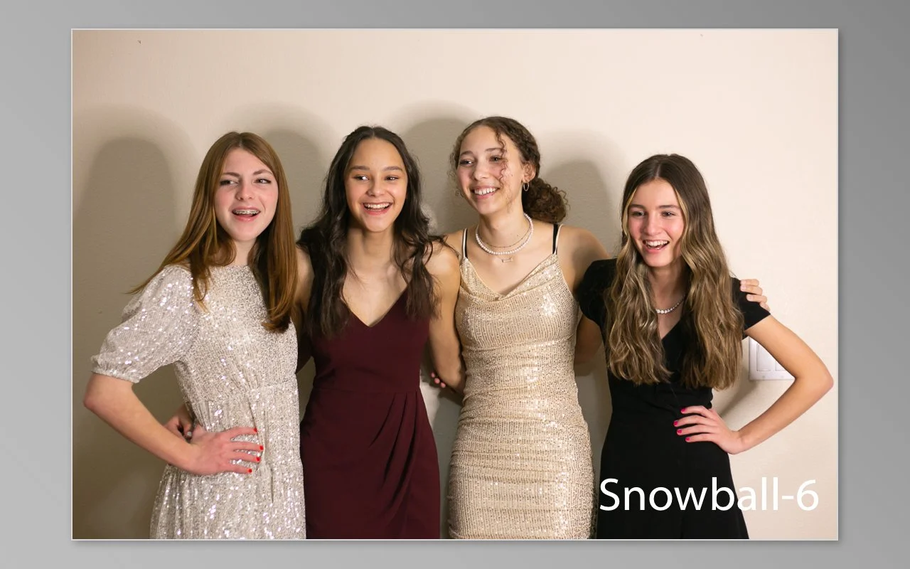 Snowball previews-06.jpg