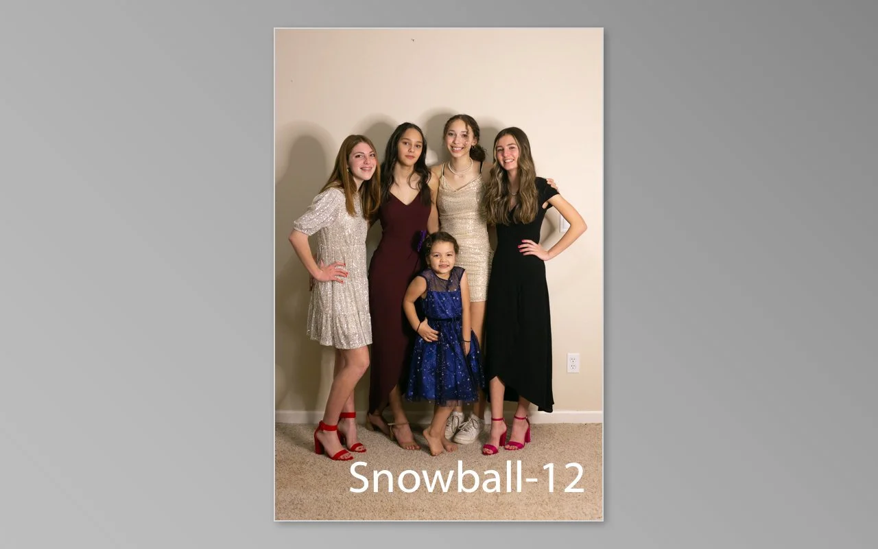 Snowball previews-12.jpg