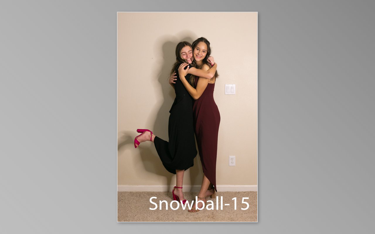 Snowball previews-15.jpg