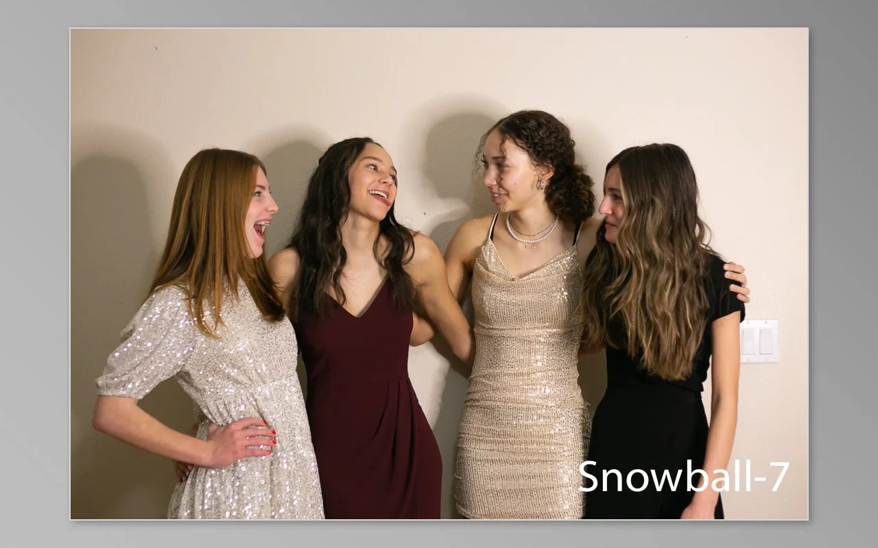 Snowball previews-07.jpg