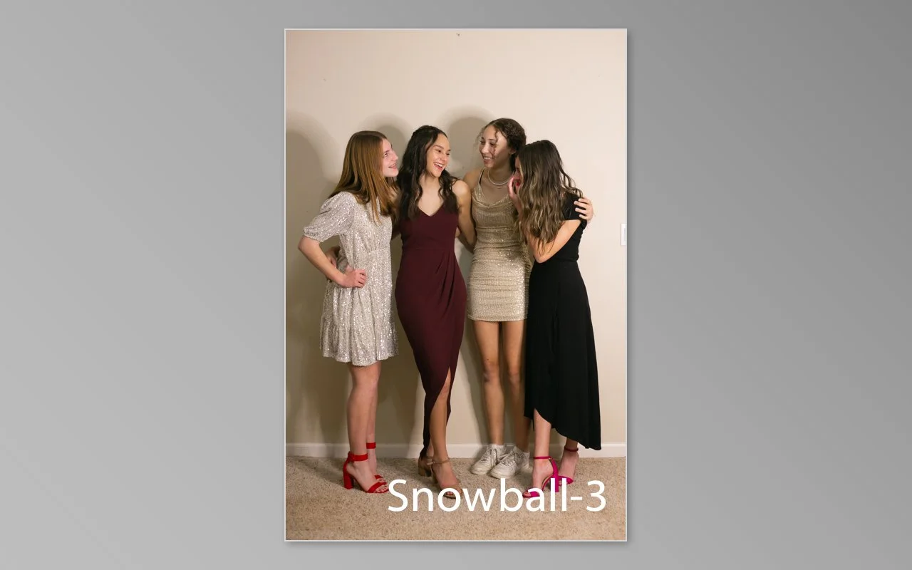 Snowball previews-03.jpg