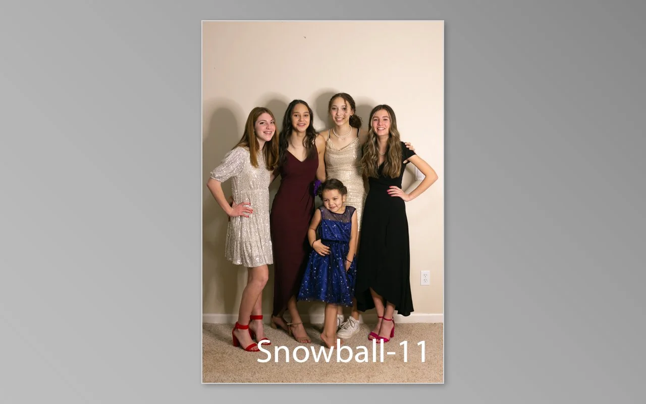 Snowball previews-11.jpg