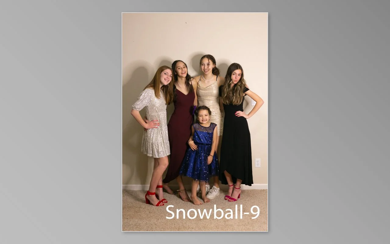 Snowball previews-09.jpg
