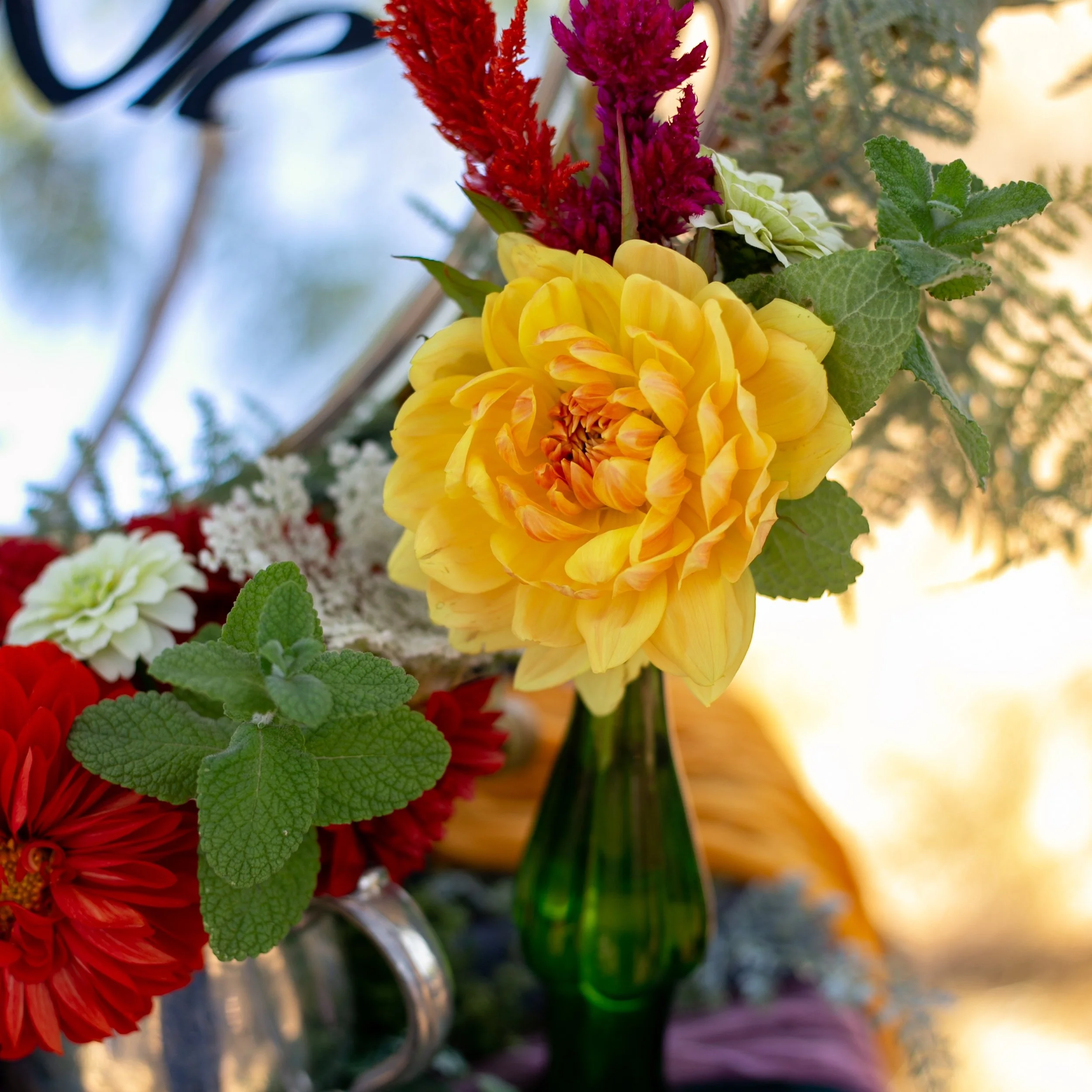 silver creek falls wedding, silverton Oregon, Silverton Oregon wedding photographer, Alice in wonderland wedding, themed wedding