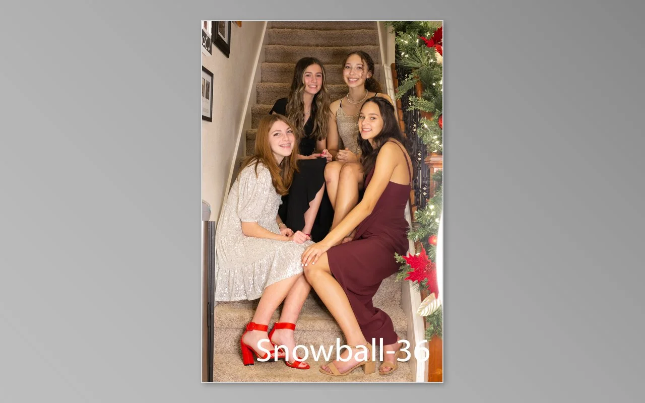Snowball previews-36.jpg