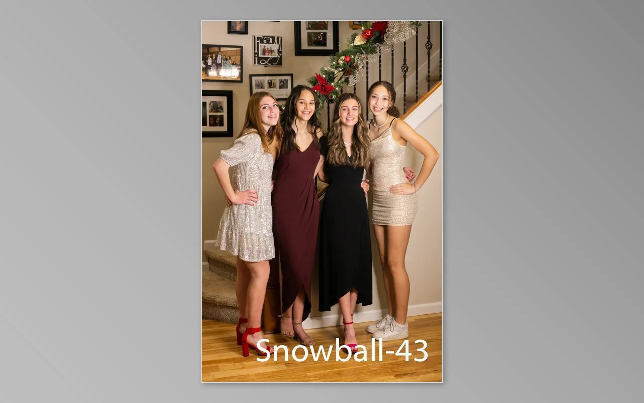 Snowball previews-43.jpg