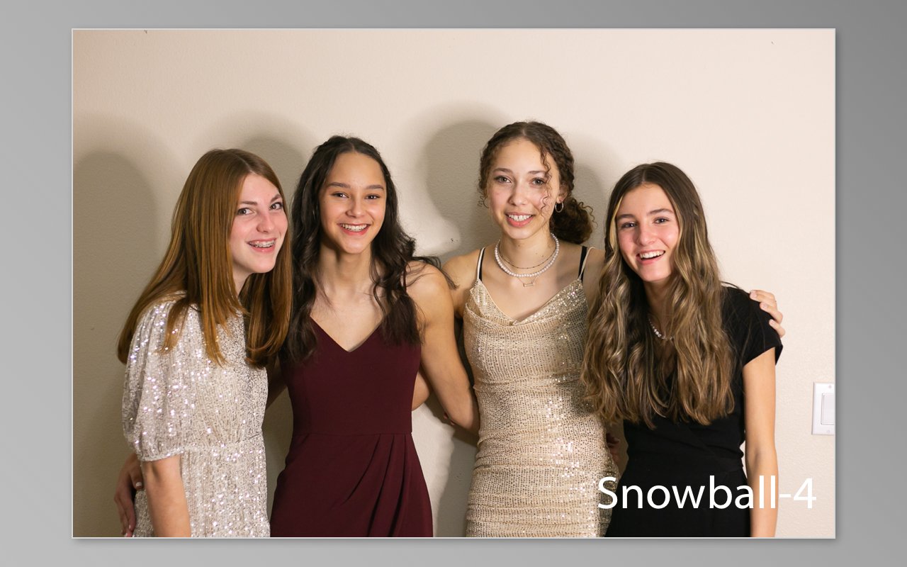 Snowball previews-04.jpg