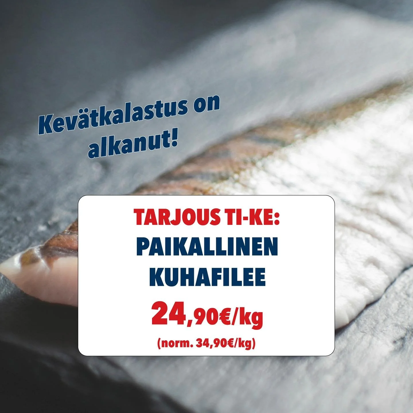 Kev&auml;tkalastus on alkanut!🎣
Tuore kuhafilee tarjouksessa ti-ke 24,90&euro;/kg.
Keskiviikkona herkutellaan my&ouml;s kuhakeitolla 10,90&euro; klo 11-15 - tervetuloa! 

V&aring;rfisket har b&ouml;rjat!🤩
F&ouml;rsk g&ouml;sfil&eacute; p&aring; erb
