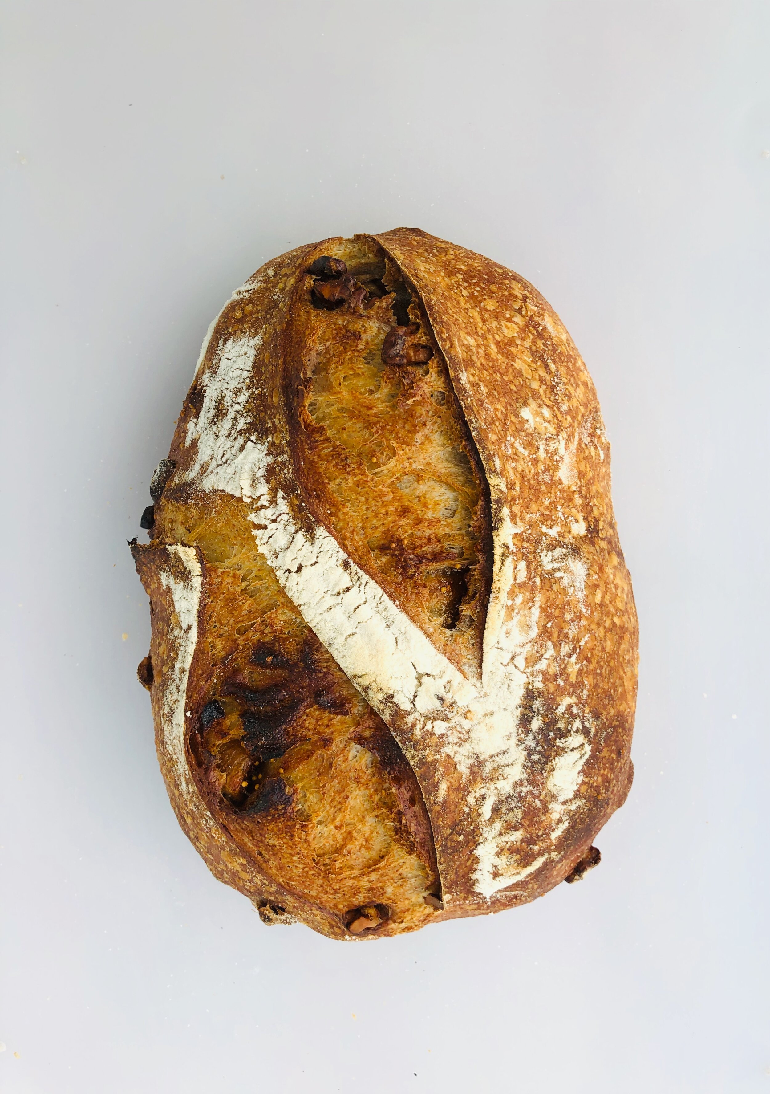 fig & Walnut.jpeg
