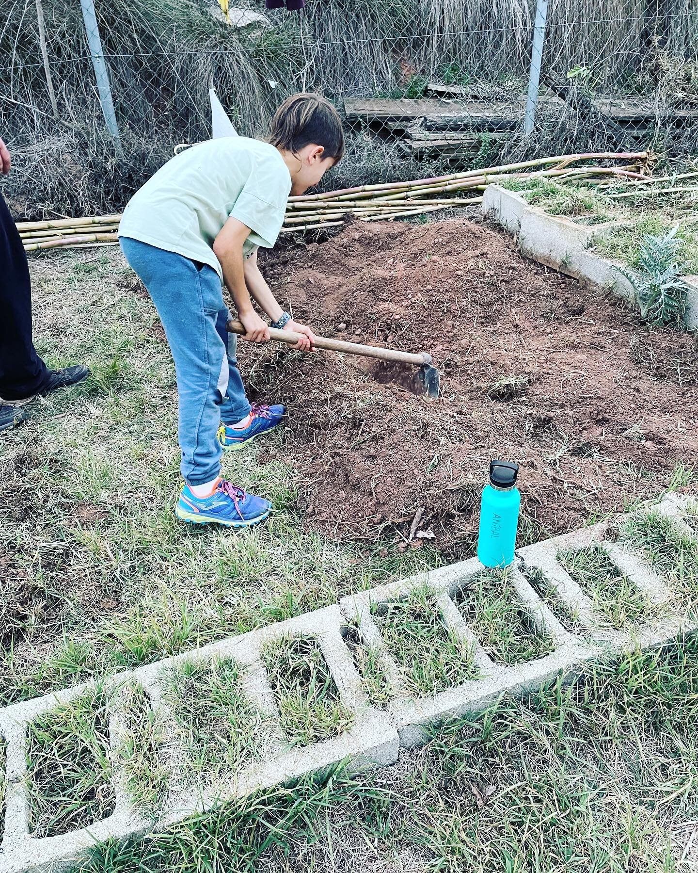 A l'Escola Rellinars hem comen&ccedil;at un projecte preci&oacute;s. El de treballar el nostre propi hort a l'escola. La setmana passada els infants han comen&ccedil;at a lleurar i a organitzar el magn&iacute;fic espai del que disposem al centre. Est