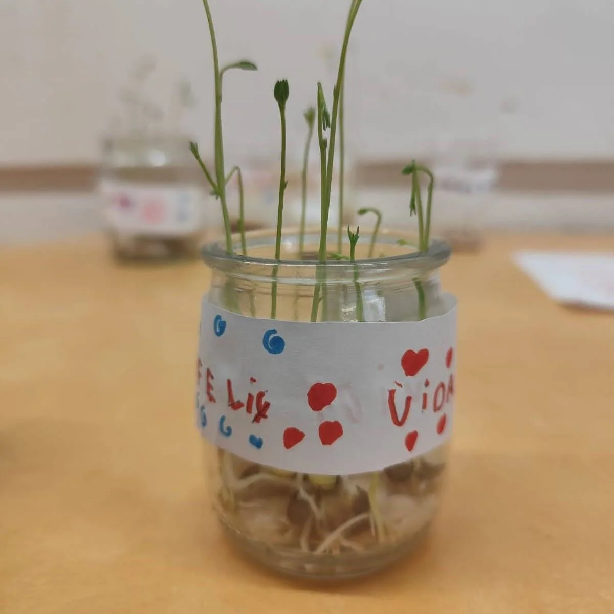 🌱 Alimentar-nos amb salut i consci&egrave;ncia

Menjar &eacute;s un acte quotidi&agrave;, per&ograve; tamb&eacute; &eacute;s un acte de cura i coher&egrave;ncia.
Cada vegada que triem qu&egrave; posem al nostre plat, decidim com volem cuidar-nos i q