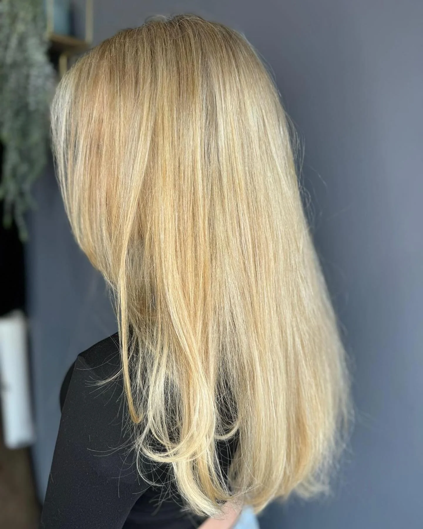 𝐻𝑎𝑖𝑟 𝑏𝑦 @beckyjamiesonhair 
Looking for some honey blonde highlights? Book in with Becky for a full transformation! Link in bio🤍

#hair #blonde #sabrinacarpenter #hairdresser #hairsalon #highlights #fullheadhighlights #cleangirlaesthetic #vani