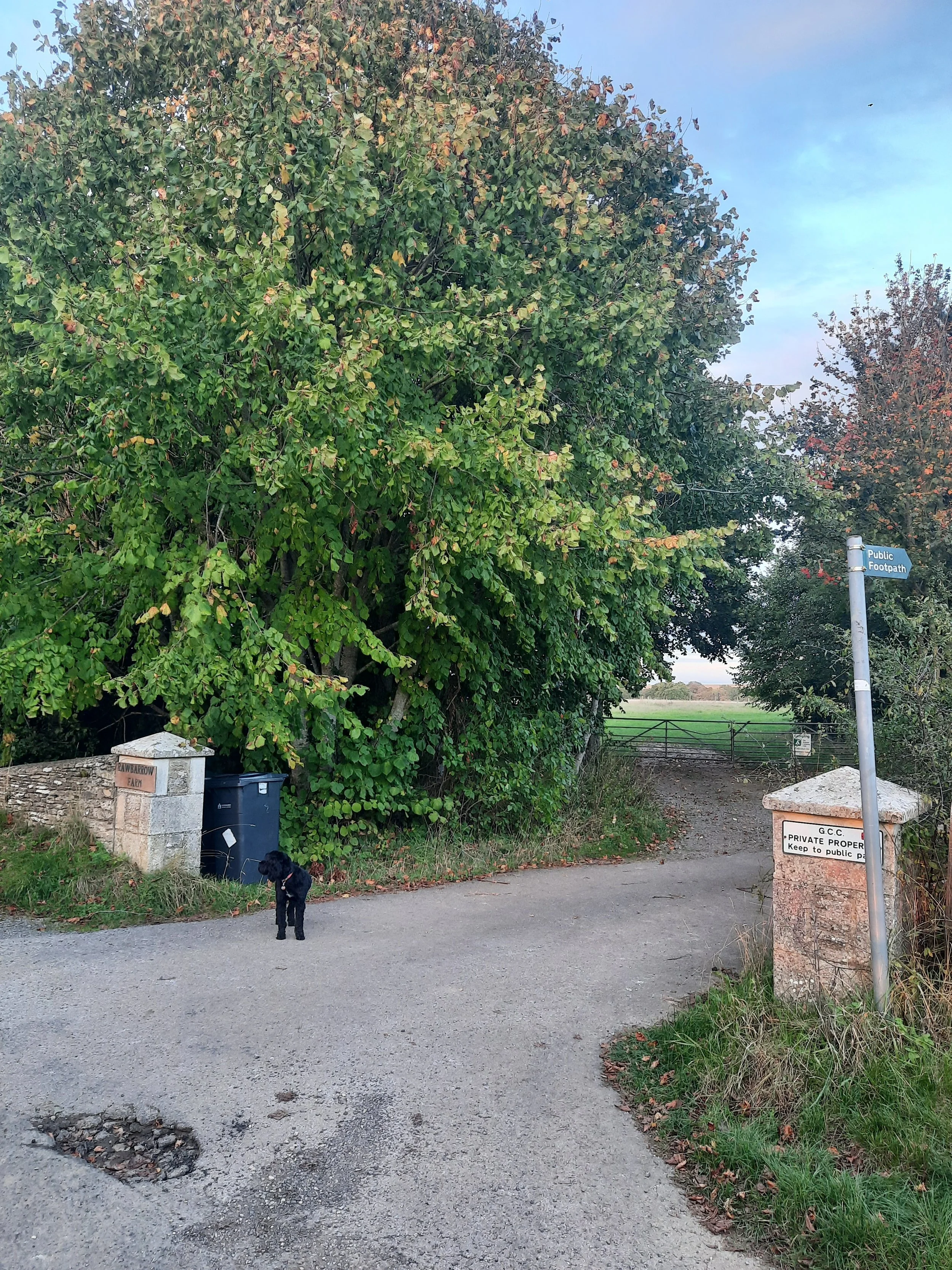 The entrance off the road -- welcome!