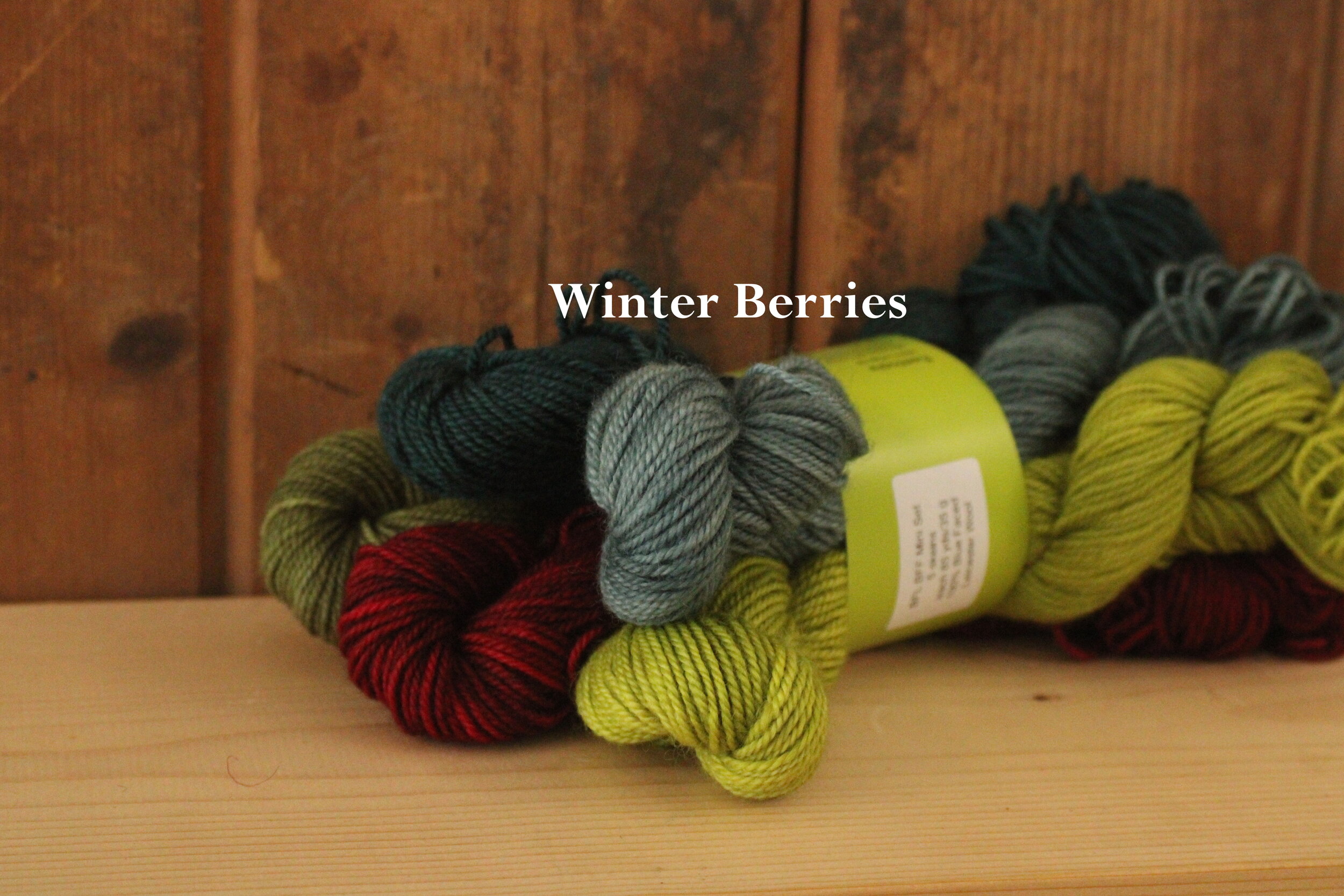 Winter Berries.jpeg