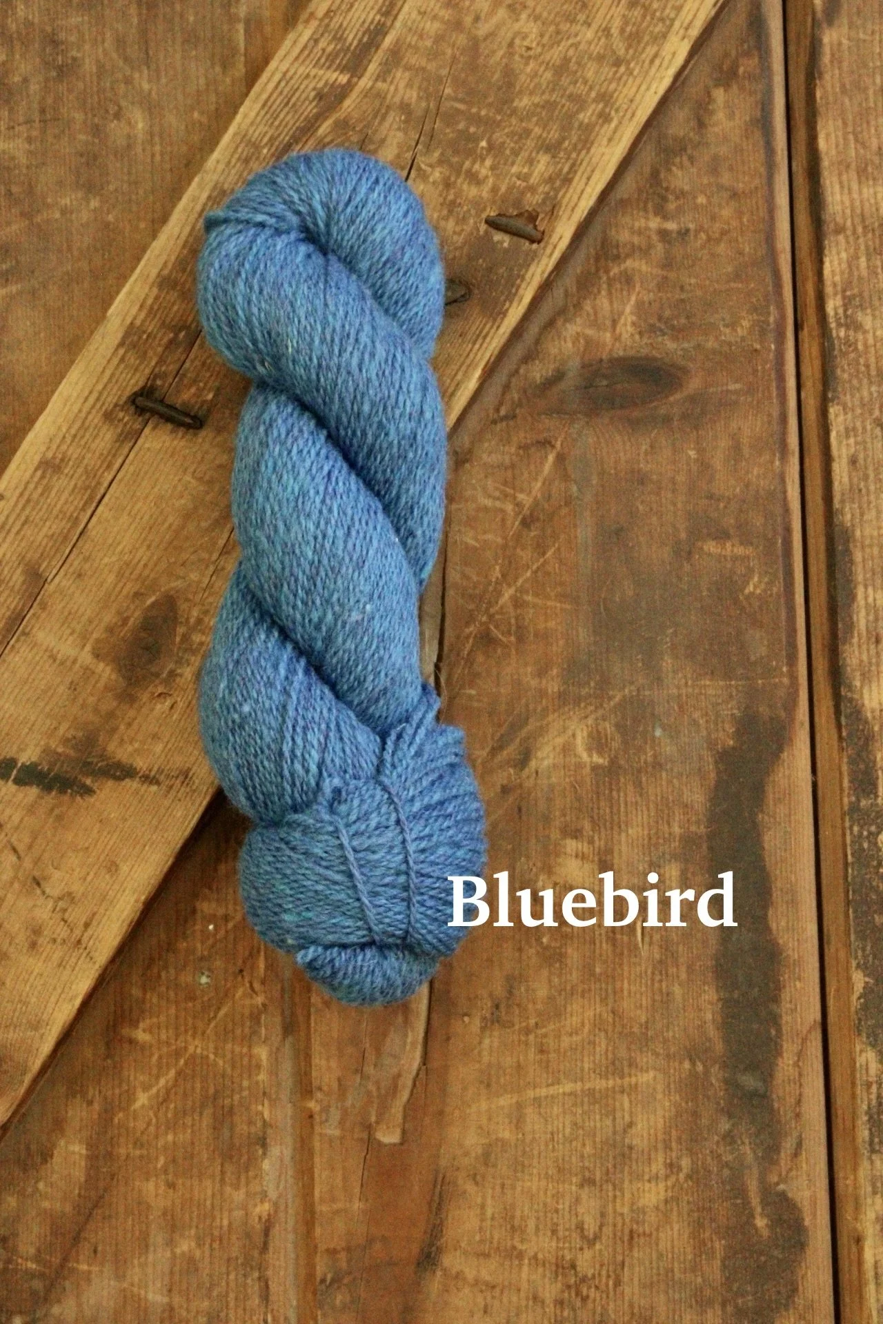 IMG_6808.jpeg