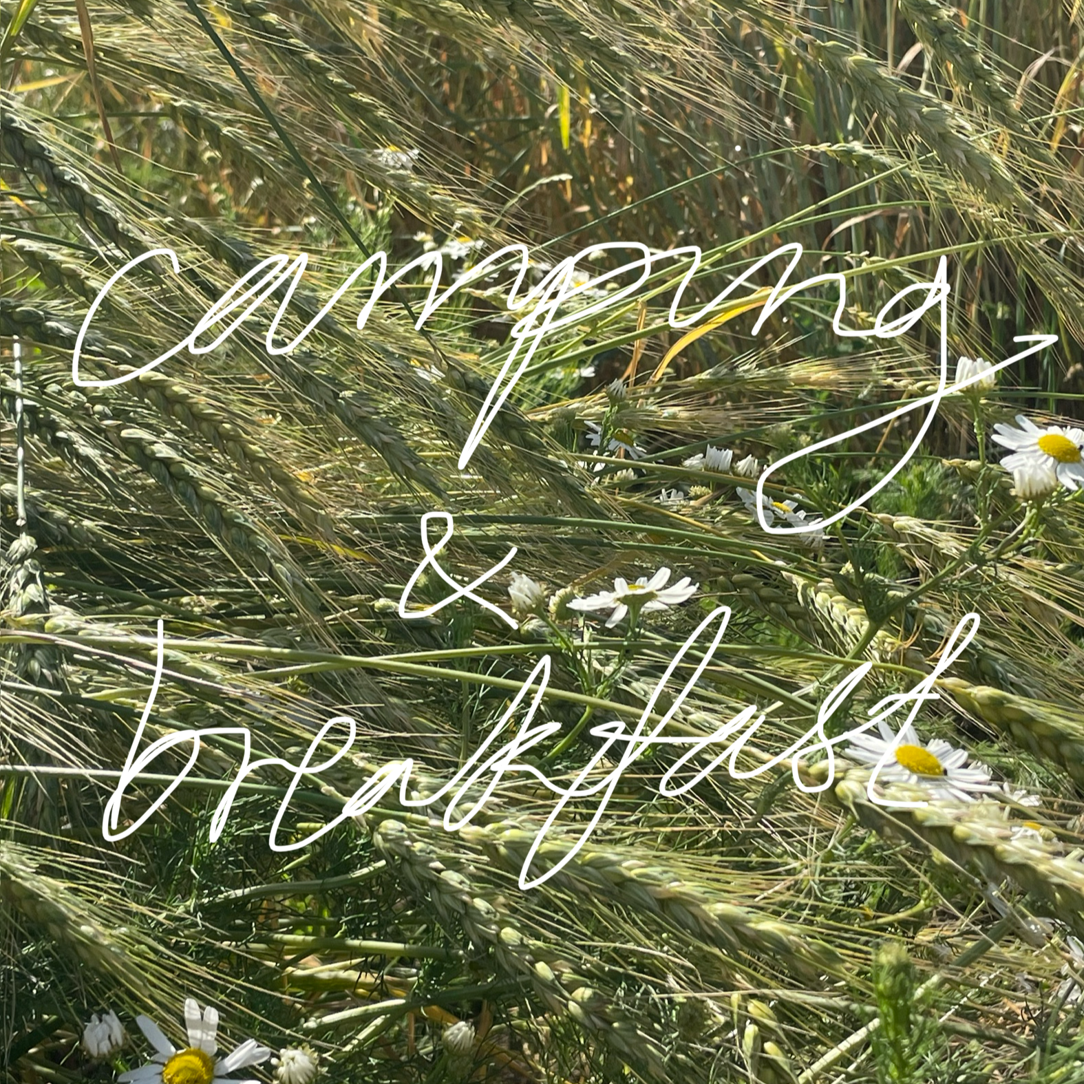IMG_0785.png