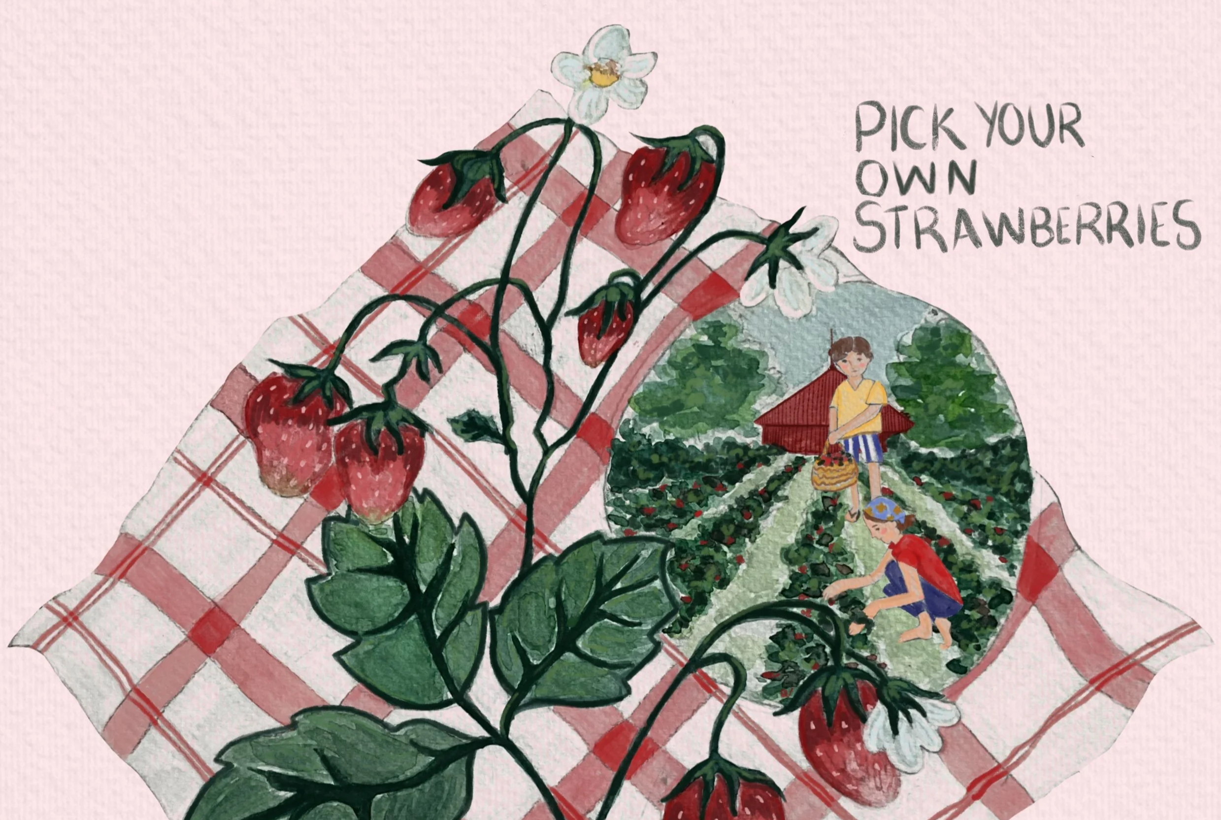 Strawberry picnic 🍓