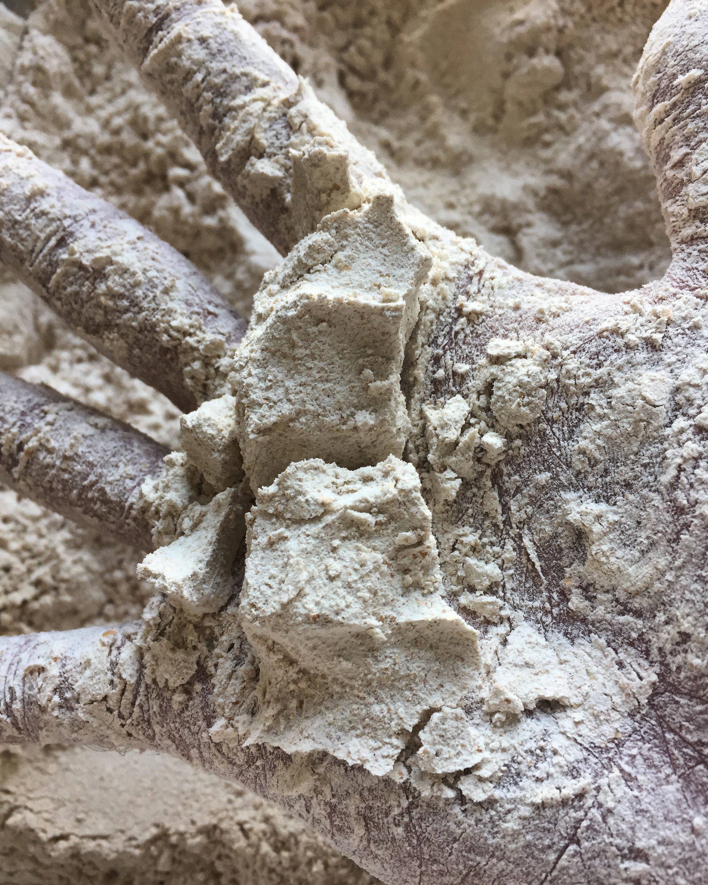 The Heirloom Grains of Denmark: A stone milled baking workshop
