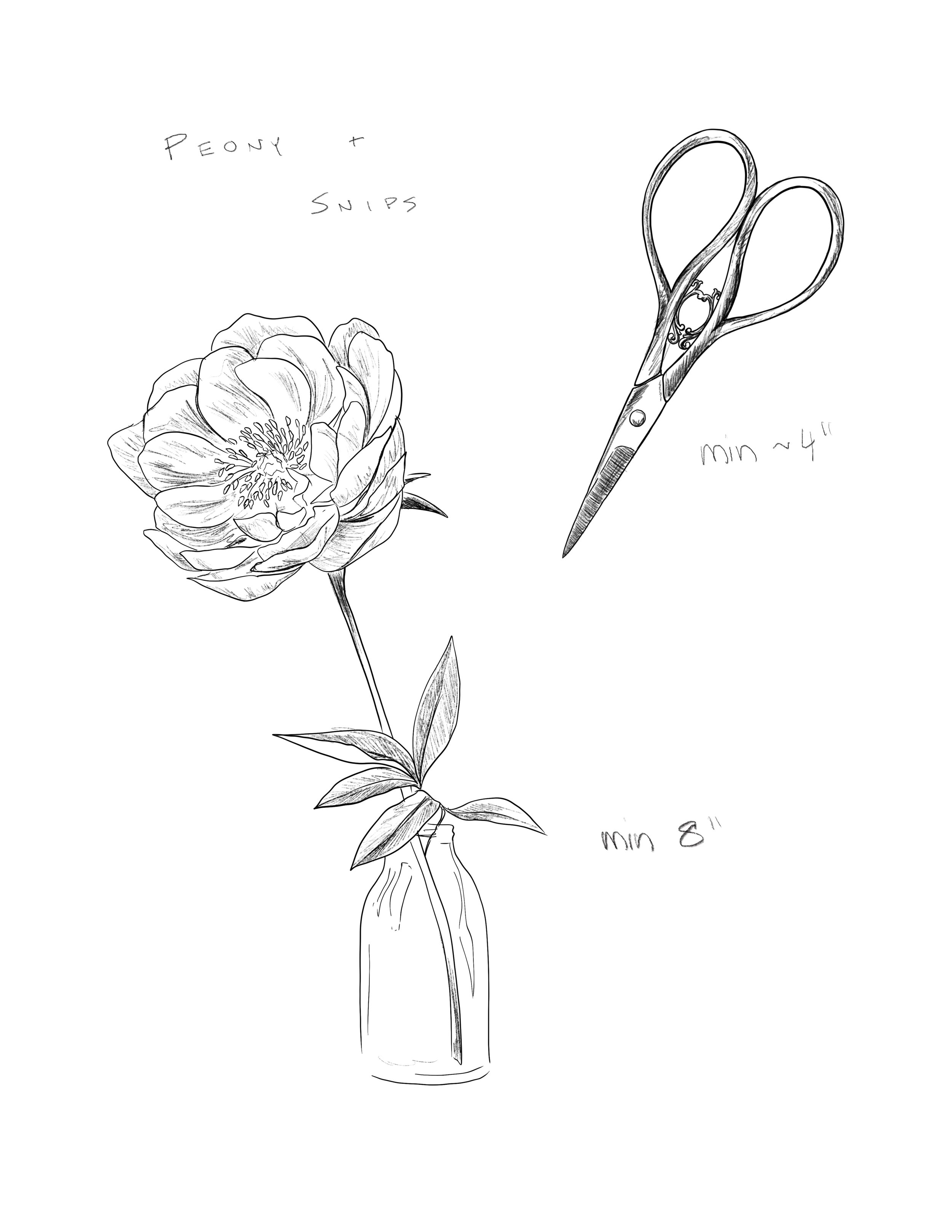 Peony & Snips