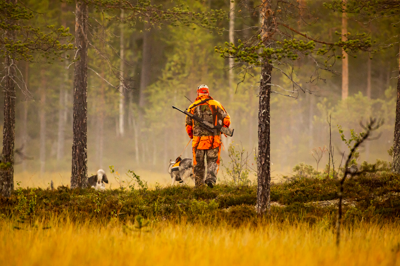 SAISON DE LA CHASSE ET OSTÉOPATHIE