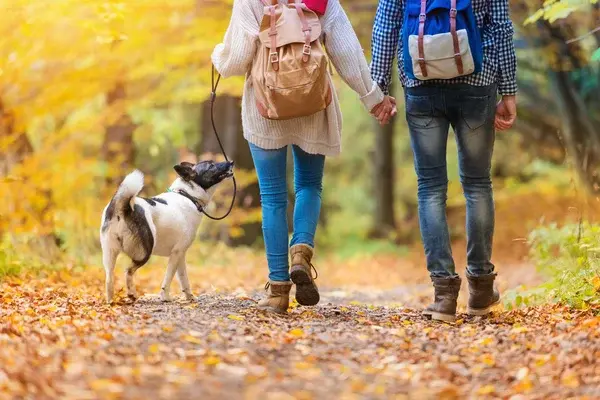 VOTRE CHIEN VOUS DONNE- T-IL MAL AU DOS?