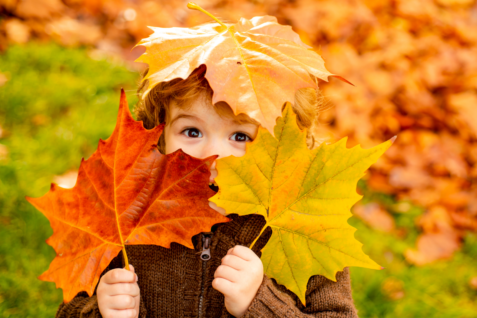 COULEURS D’AUTOMNE ET MAL DE DOS