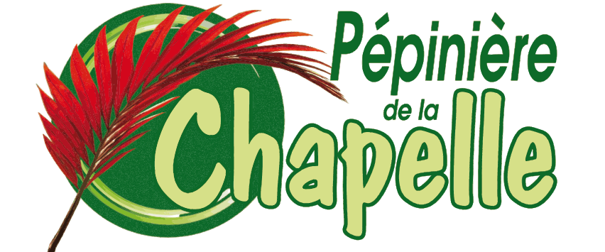 Pépinière de la Chapelle - La Réunion