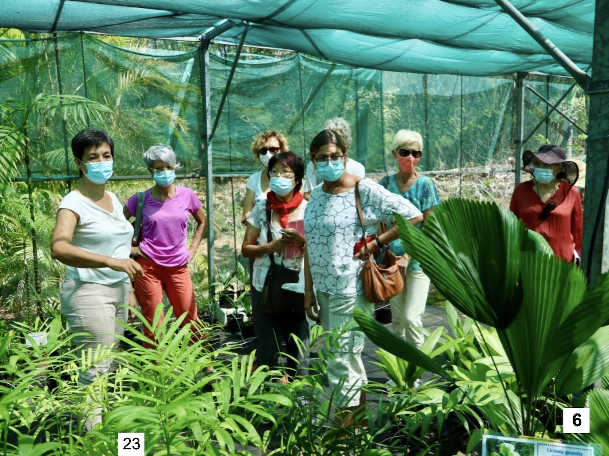 Visite de la Pépinière par l'association Palmeraie-Union (1/2)
