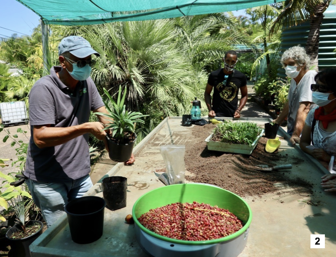 Visite de la Pépinière par l'association Palmeraie-Union (2/2)