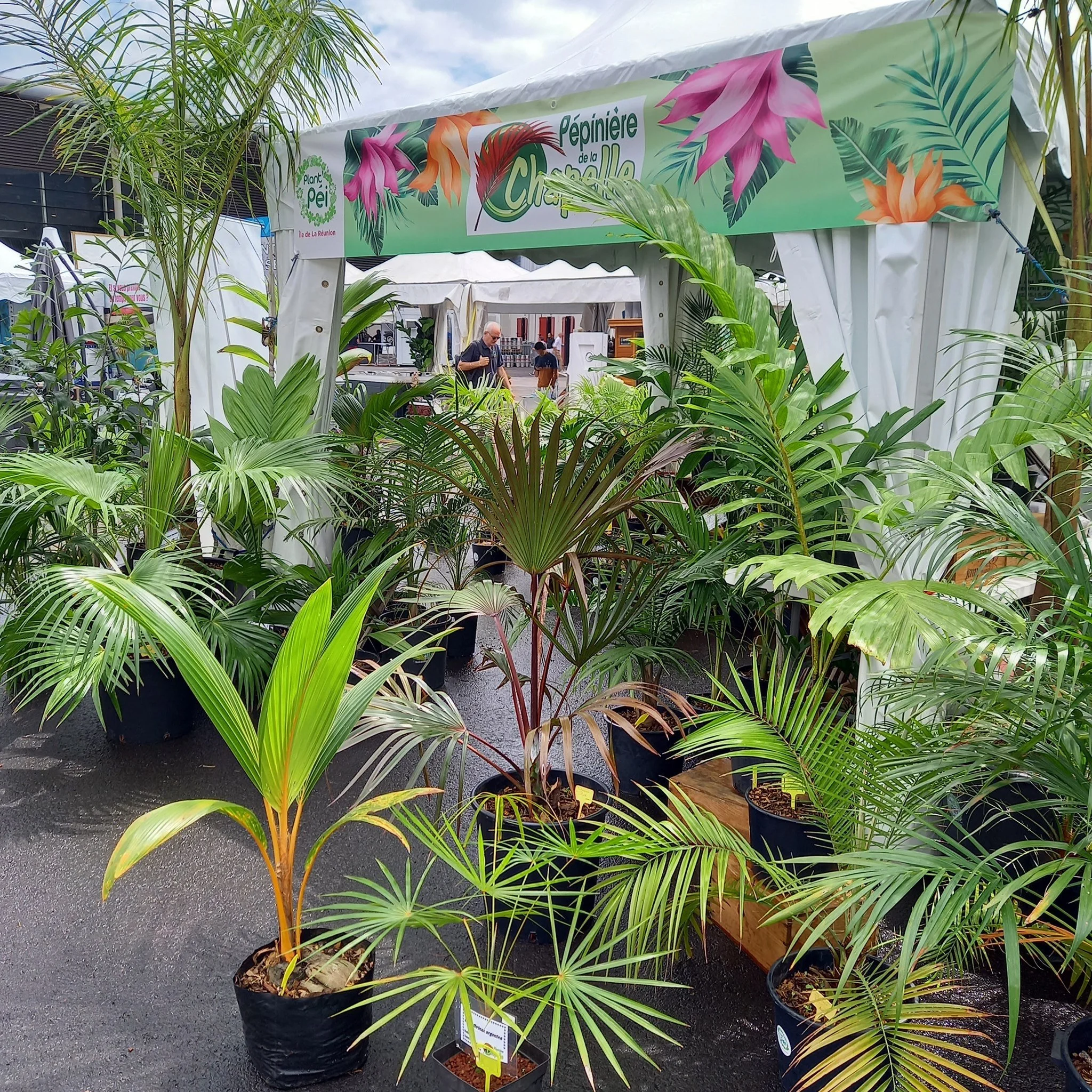 La Pépinière de la Chapelle au Salon de la Maison 2021