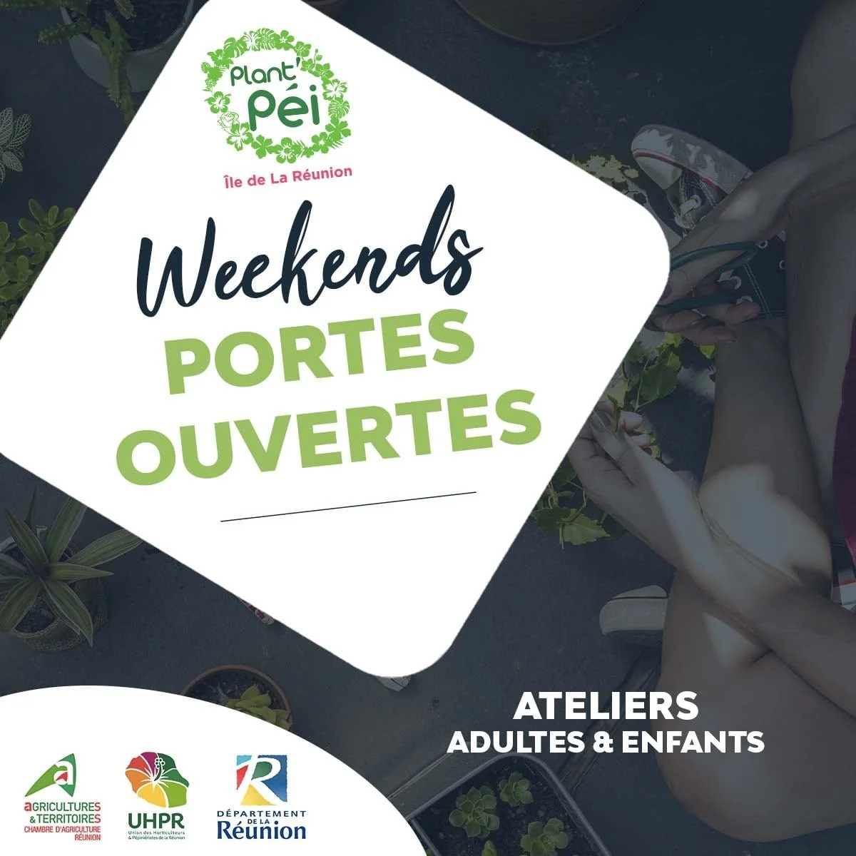 Les journées portes ouvertes de la Pépinière de La Chapelle