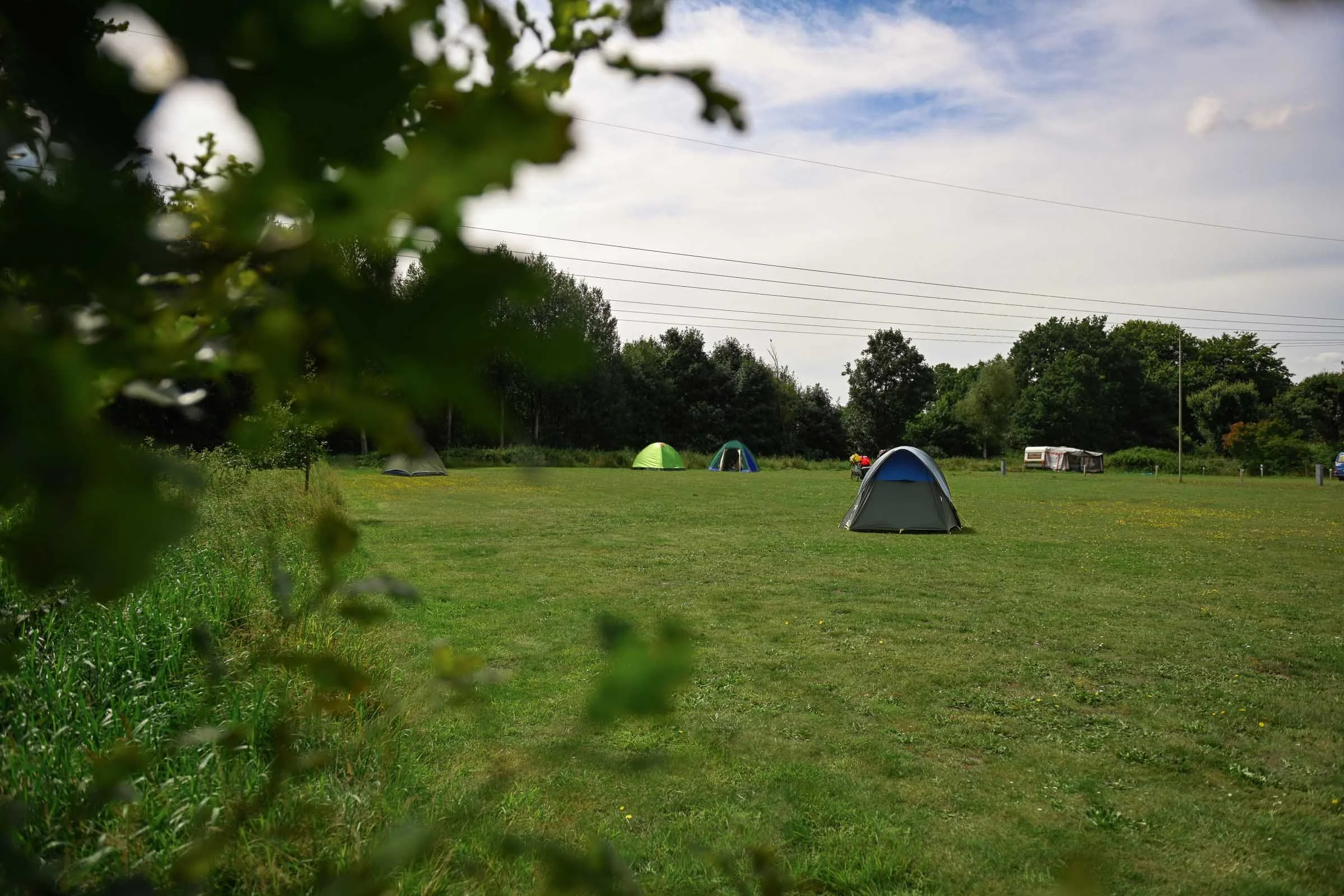 24-08 Friesland Camping Schortens_2852_Zeltwiese.jpg