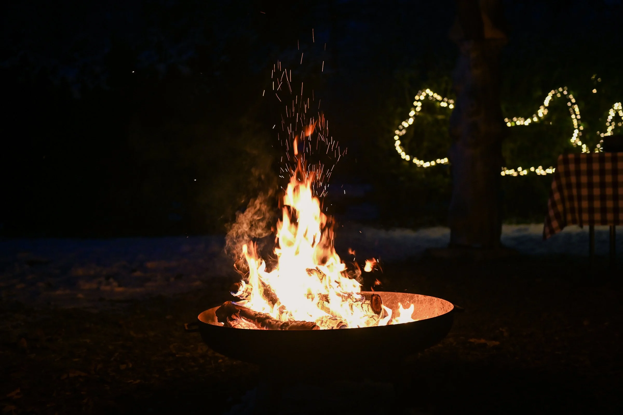 22-12-Green Tiny Village Harz_0237.jpeg
