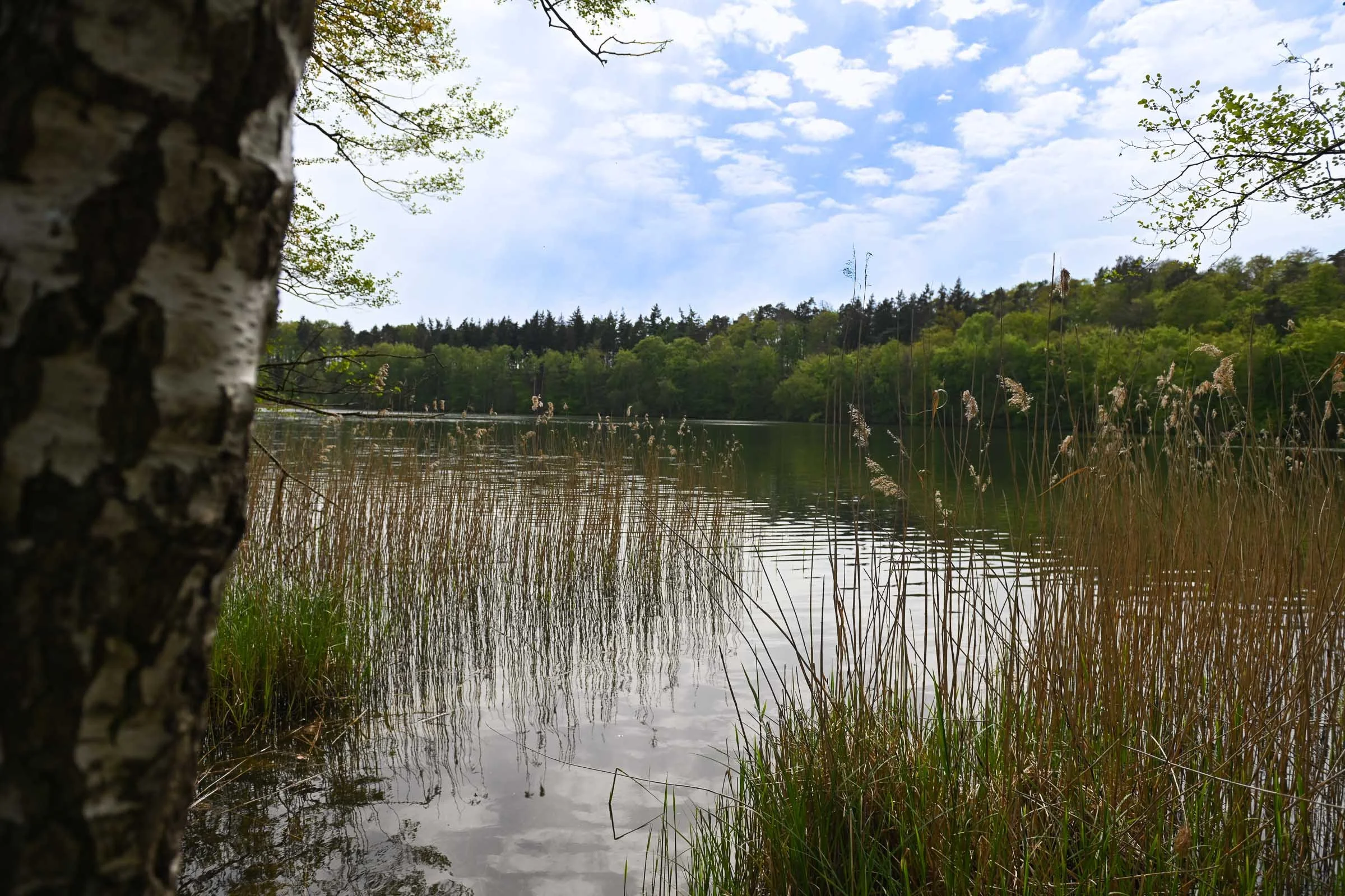 24-05 Salemer See_1945.jpg