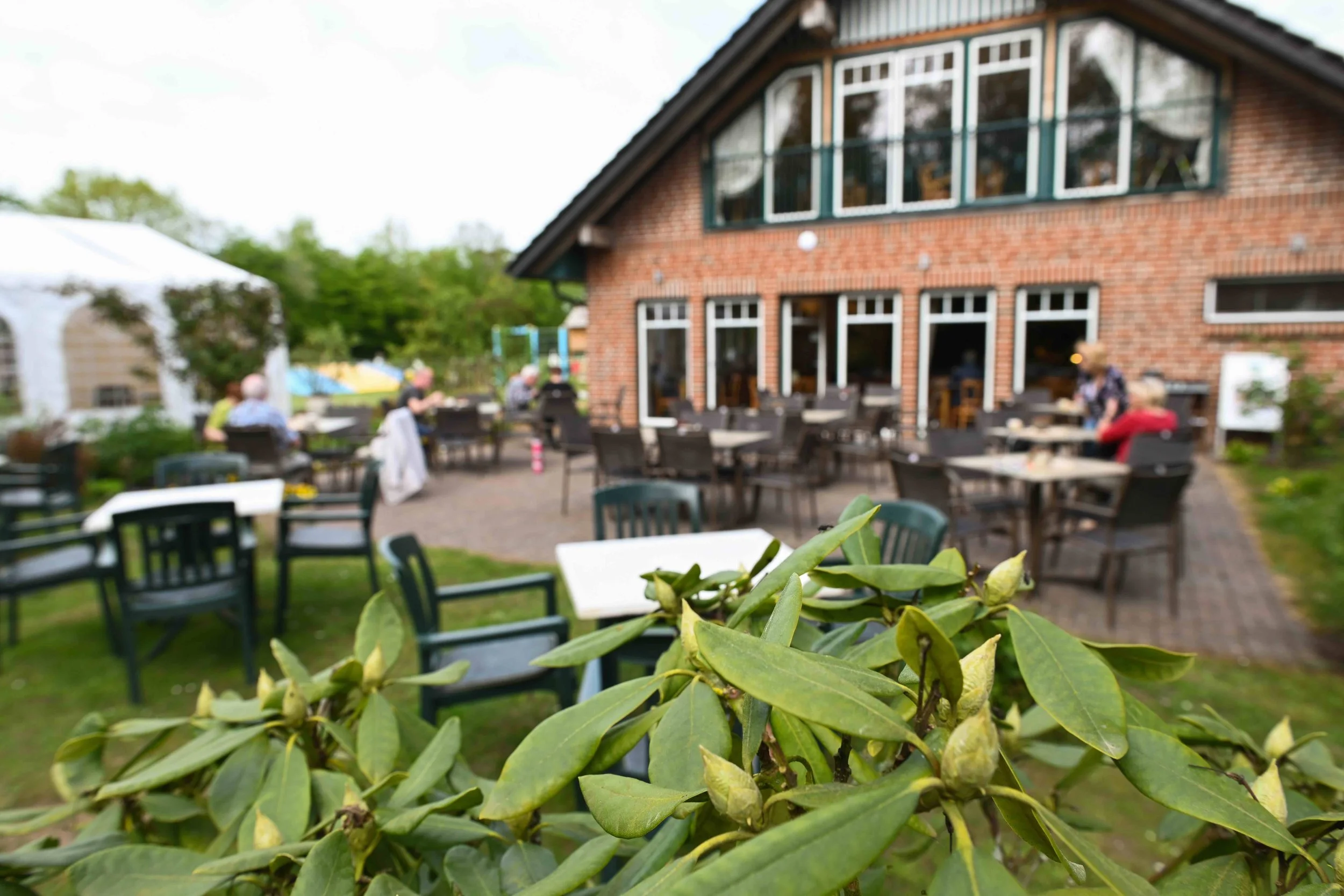 24-05 Salemer See_1976.jpeg